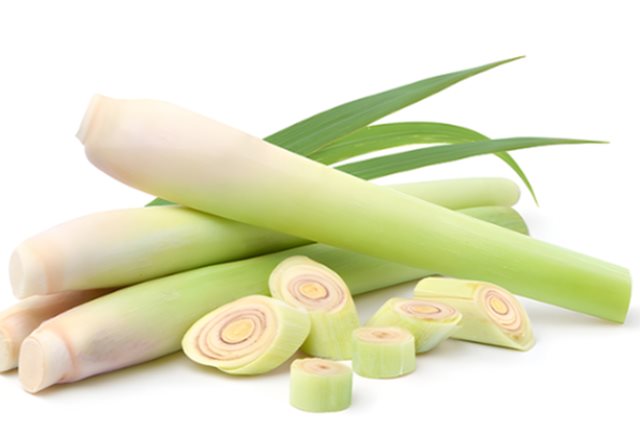 Củ sả chữa bệnh gì?